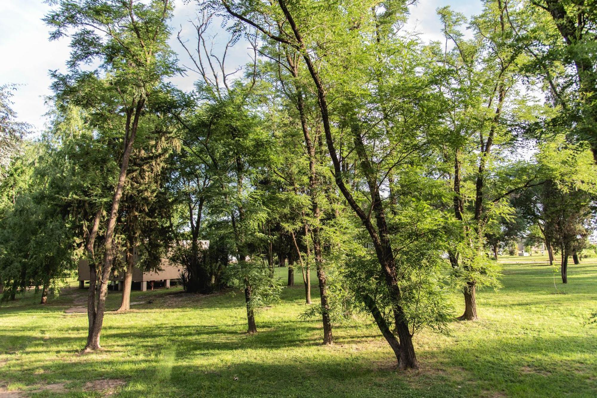 La Quinta, Cabanas De Campo Villa Nueva  Εξωτερικό φωτογραφία